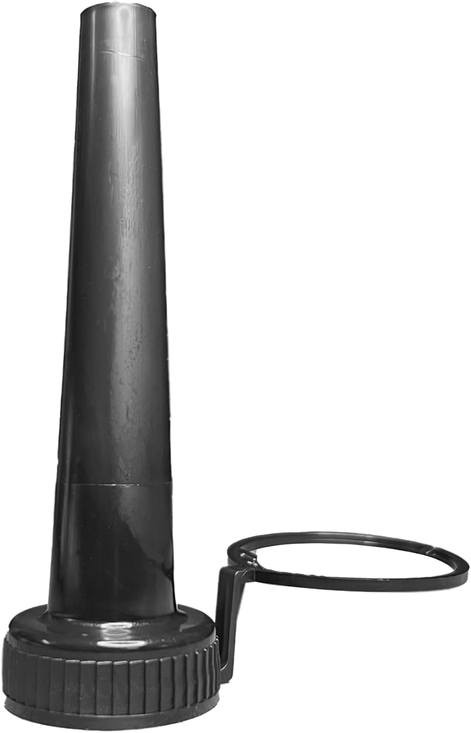 Diesel System Reinigung und Schutz (300 ml)