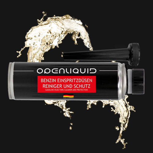 Benzin Einspritzdüsen Reiniger und Schutz 300 ml