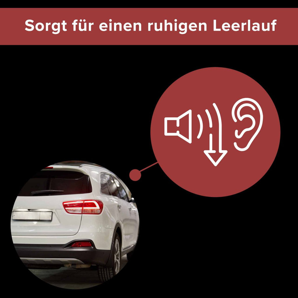 Oktanbooster & Benzin Systemschutz 300 ml